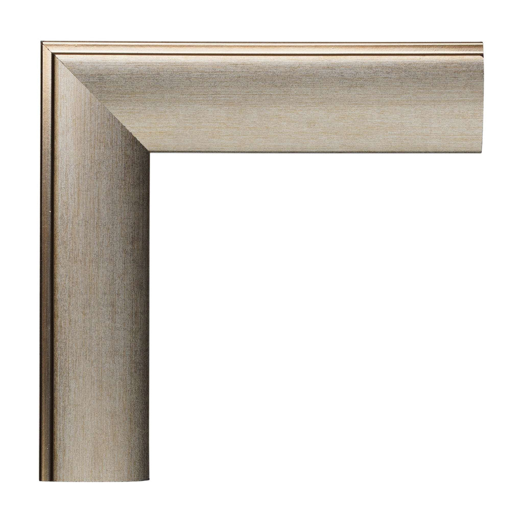 1002 - Placer Silver