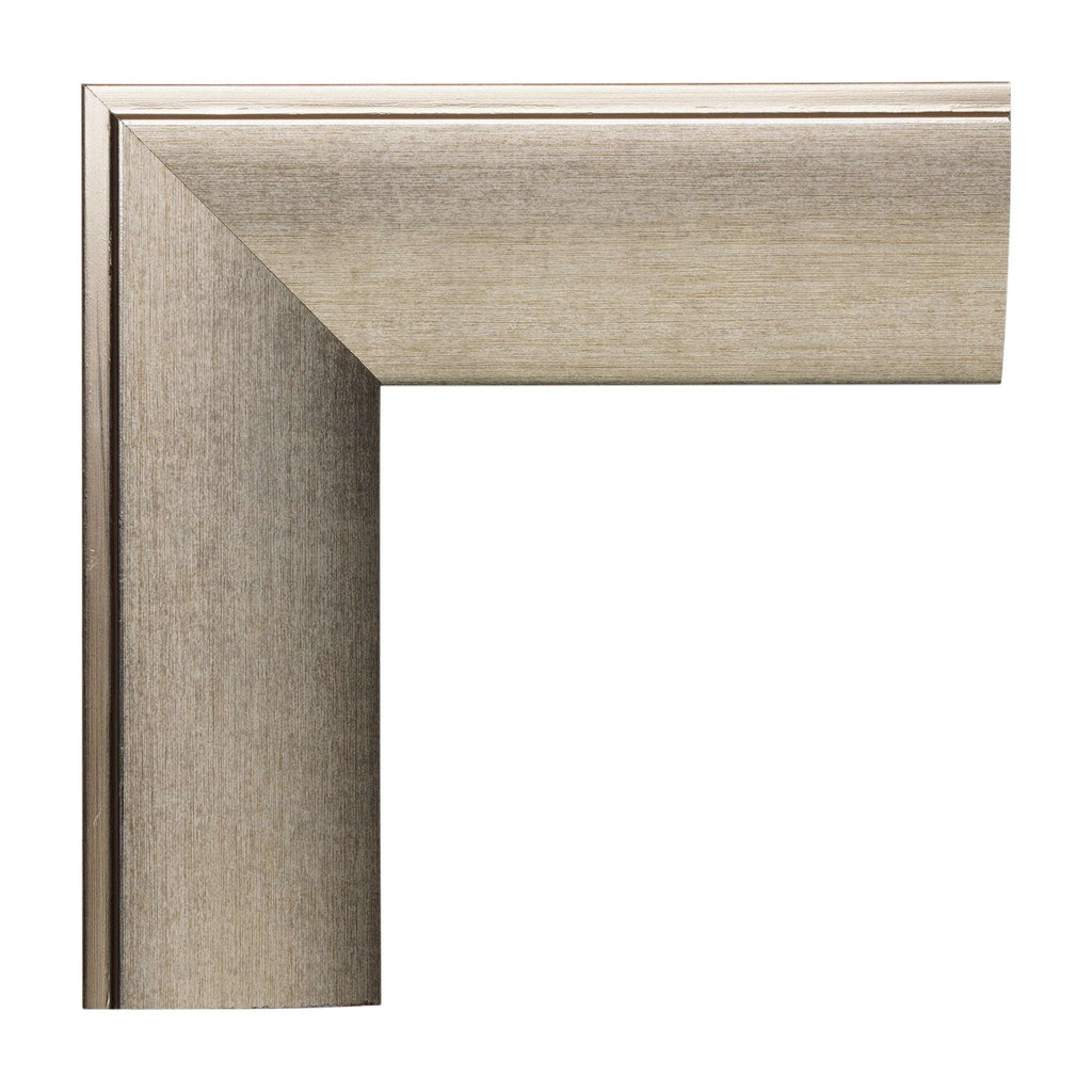 1003 - Placer Silver