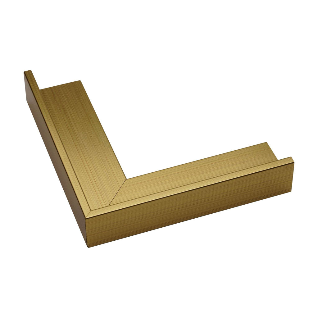 1343 - 7/8" Depth, Brushed Gold Canvas Floater Frame