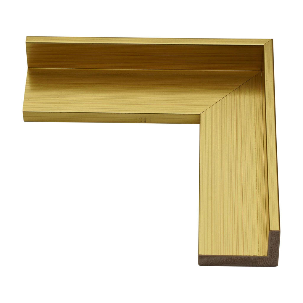 1343 - 7/8" Depth, Brushed Gold Canvas Floater Frame