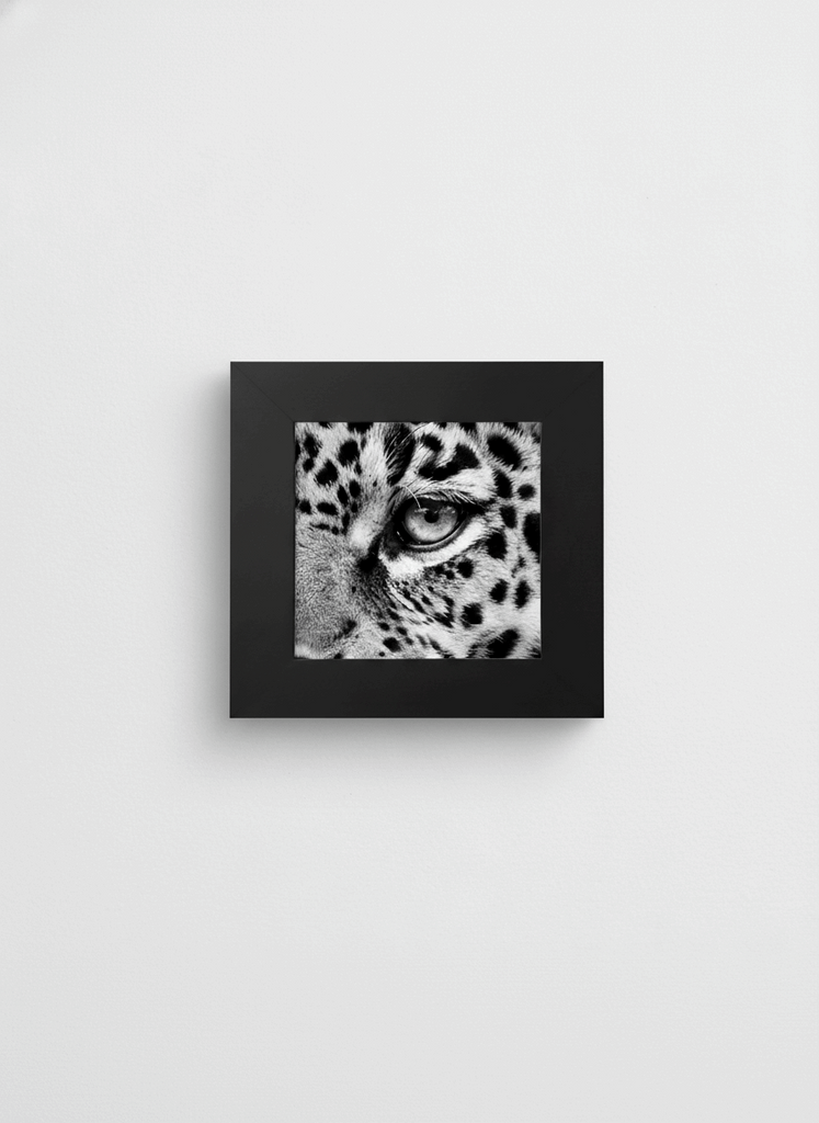 1427 - 1-15/16" Black Frame