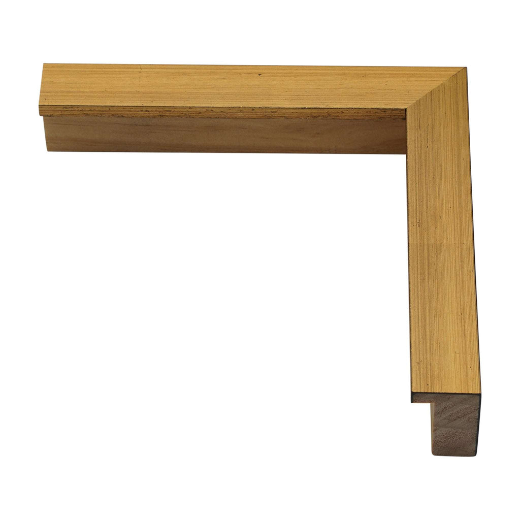 927 - Gold Contempo w/Black Edge