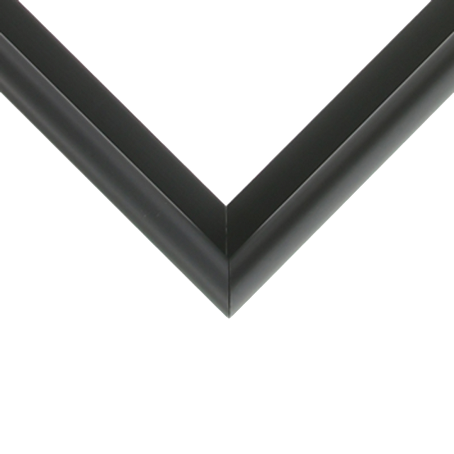 Metal Frames Florida Frames